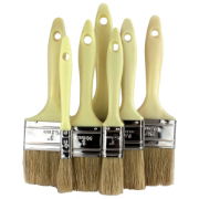 Professional Plastic Handle  Brushes